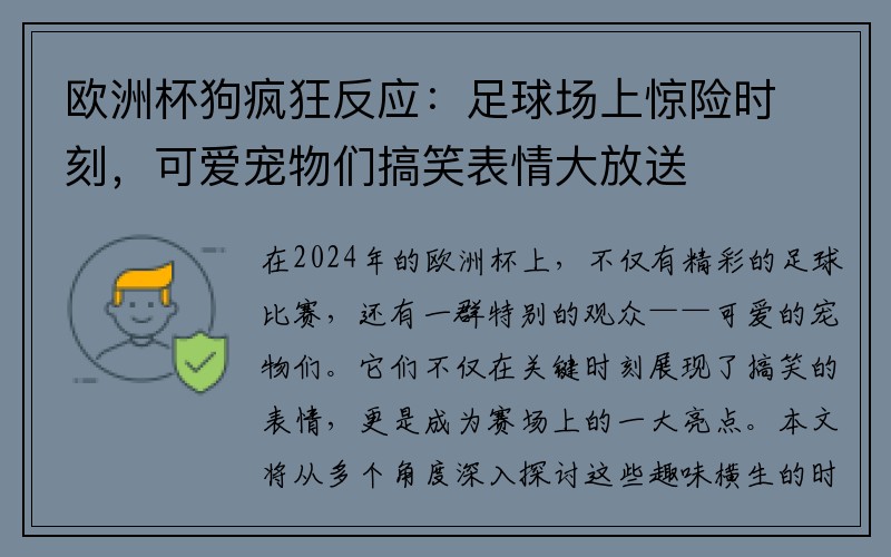 欧洲杯狗疯狂反应：足球场上惊险时刻，可爱宠物们搞笑表情大放送