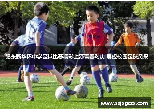 肥东新华杯中学足球比赛精彩上演青春对决 展现校园足球风采