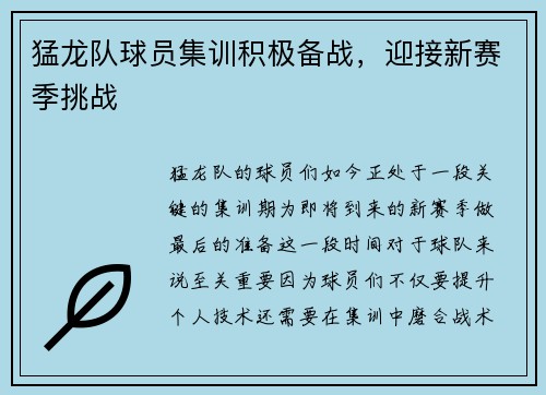 猛龙队球员集训积极备战，迎接新赛季挑战